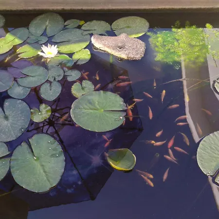 Luna Blu 3* Carbonia