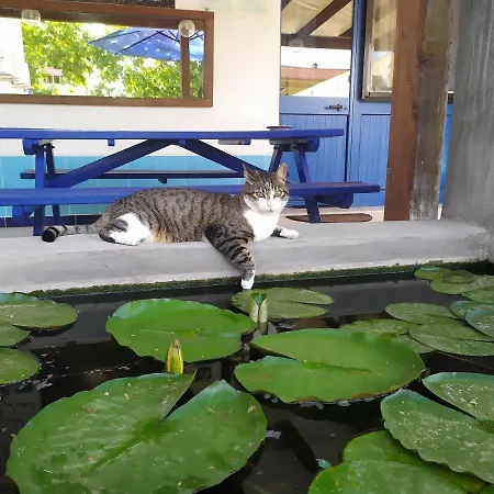 Gasthuis Luna Blu 3*