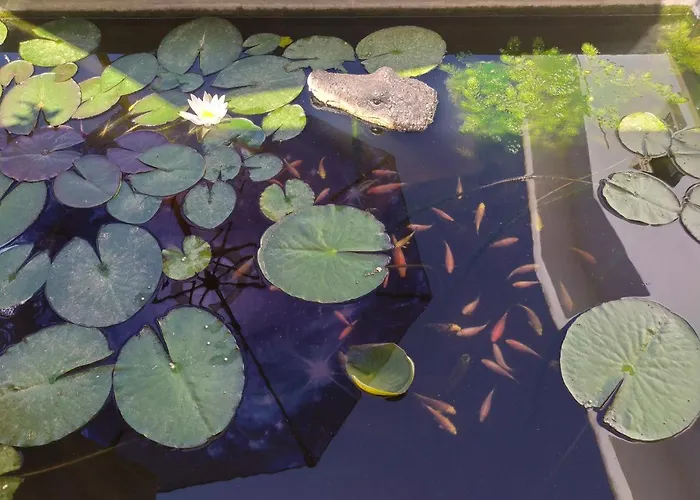 Luna Blu 3* Carbonia