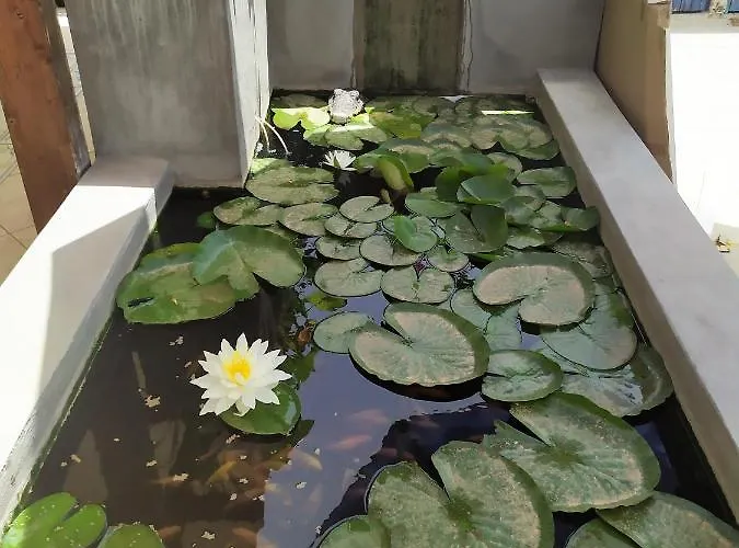 Luna Blu Gasthuis 3*