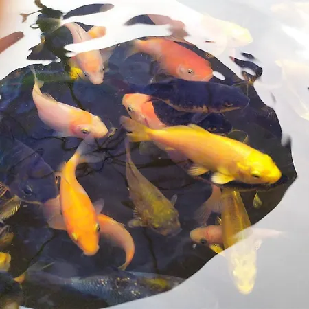 Pensionat Luna Blu 3*