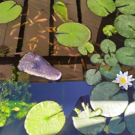 Luna Blu Affittacamere 3*