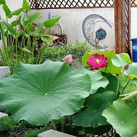 Luna Blu بيت ضيافة كاربونيا