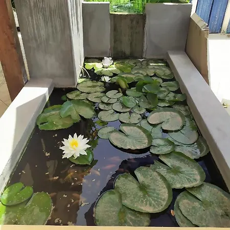 Luna Blu Affittacamere 3*